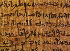 Papyrus | Wild Paper handmade paper