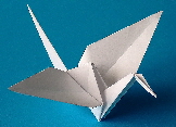 Origami & paper folding