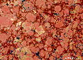 Burgundy&Gold Hand Marbled paper | Wild Paper handmade paper