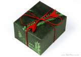 Gift wrapped present in Green Fern paper